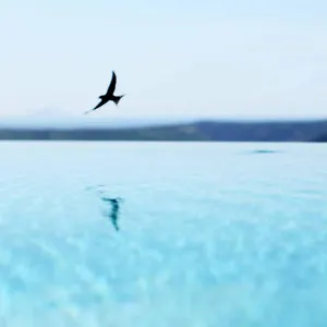 Stefanija Small Boutique Hotel&restaurant Hotel